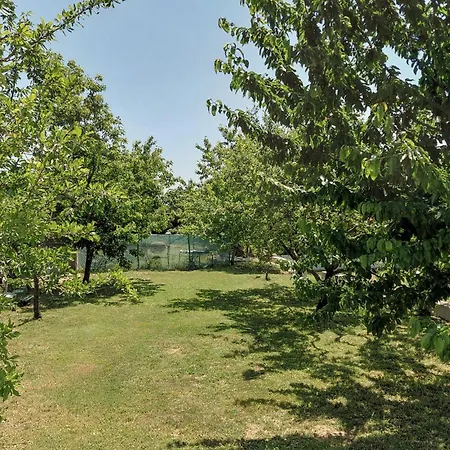 Lovely In Dicmo Prisoje * Marcetici
