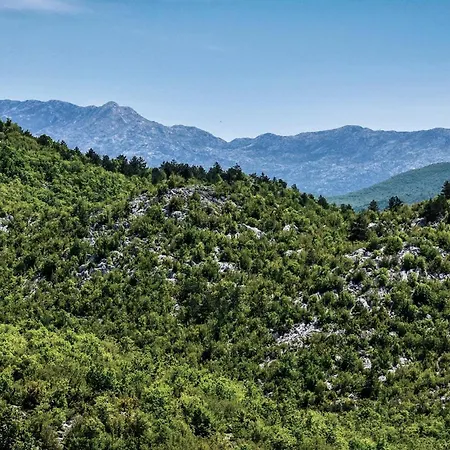 Lovely In Dicmo Prisoje Marcetici